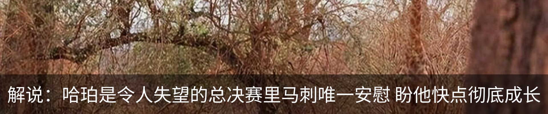 新闻动态