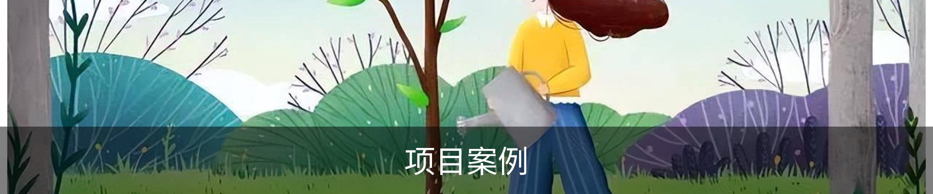 项目案例